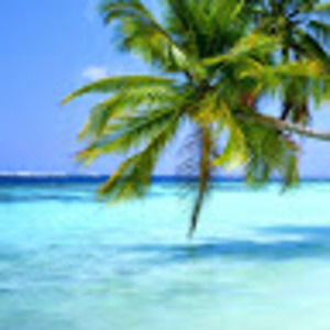 Meet your Posher, Priya